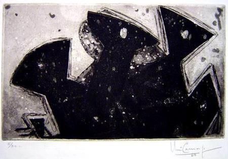 <b>Iber Camargo </b>