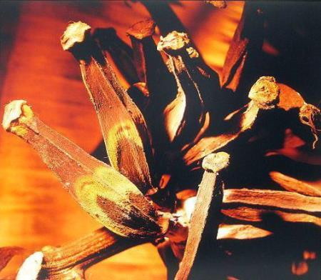 Rafael Lurciton Costa 