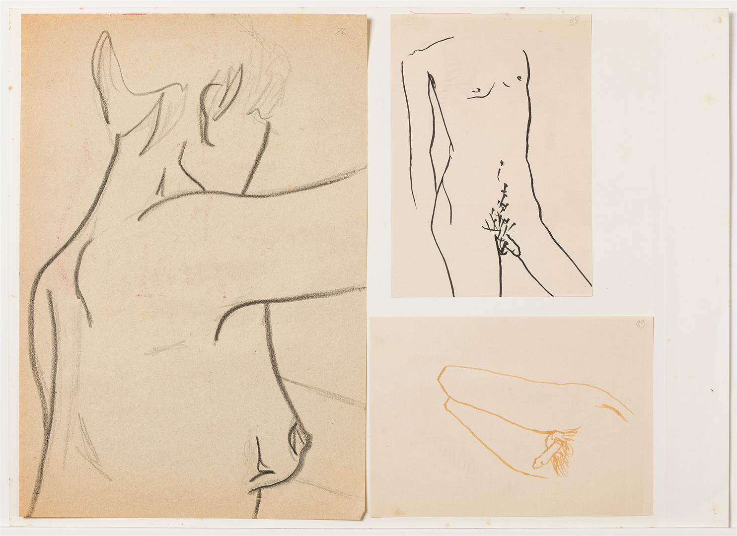  Cr�ditos: Isabella Matheus