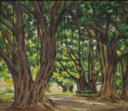 Dario Villares Barbosa 