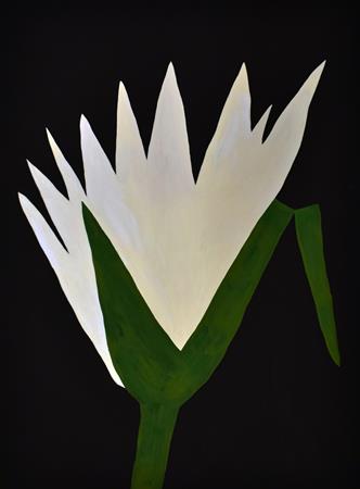 <b>Alice Shintani </b>